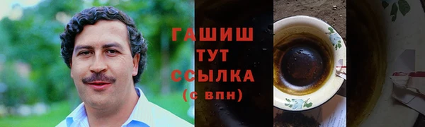 спиды Богородицк