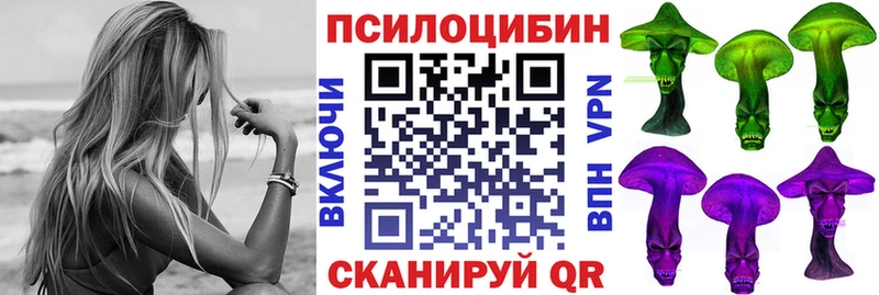 закладки  Мариинский Посад  Псилоцибиновые грибы Cubensis 